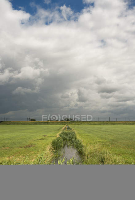 Fossato d'acqua in polder, Moerdijk, Noord-Brabant, Paesi Bassi, Europa — Foto stock