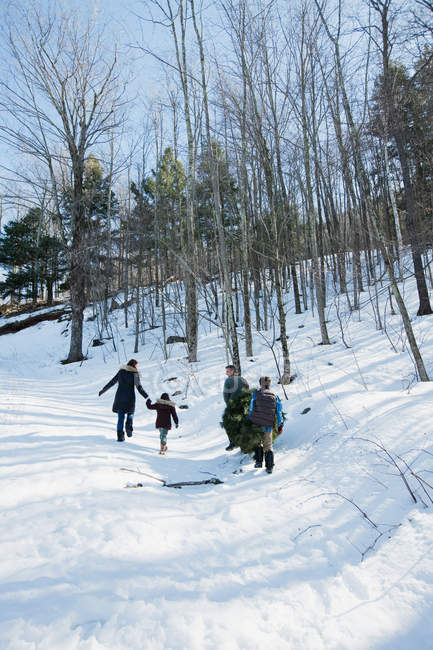 Вид ззаду сім'ї, що йде на снігу — стокове фото