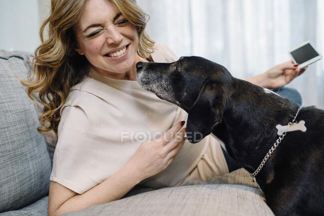 Mulher grávida no sofá cão de estimação — Fotografia de Stock
