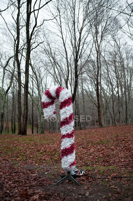 Украшение в виде рождественских конфет на фоне леса — стоковое фото