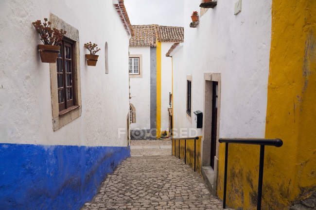 Chemin de tuiles et maisons à Obidos, Portugal — Photo de stock