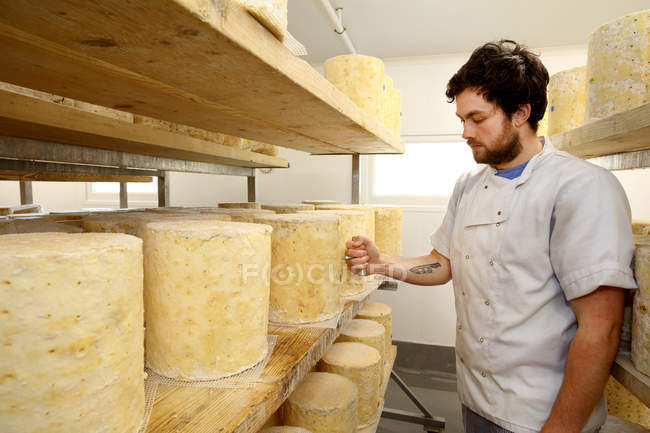 Fabricante de queso inspeccionando la rueda de queso Stilton mediante el uso de corer para comprobar el molde azul que forma el interior - foto de stock