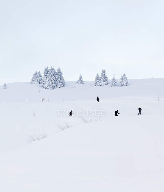 Лыжники, Гранд Массив, Французские Альпы — стоковое фото