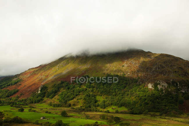 Hill side, Snowdonia, Северный Уэльс, Великобритания — стоковое фото