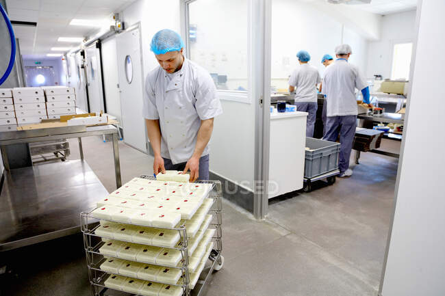 Formaggio confezionamento formaggi da spedire ai fornitori — Foto stock
