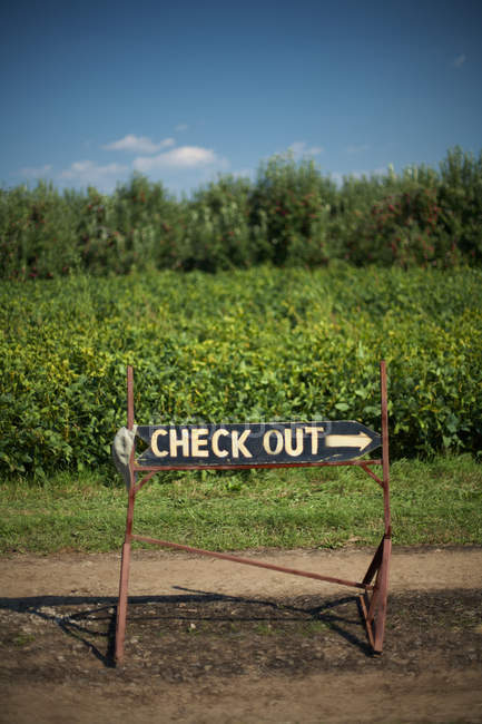 Ponteiro com inscrição check-out no fundo da natureza — Fotografia de Stock