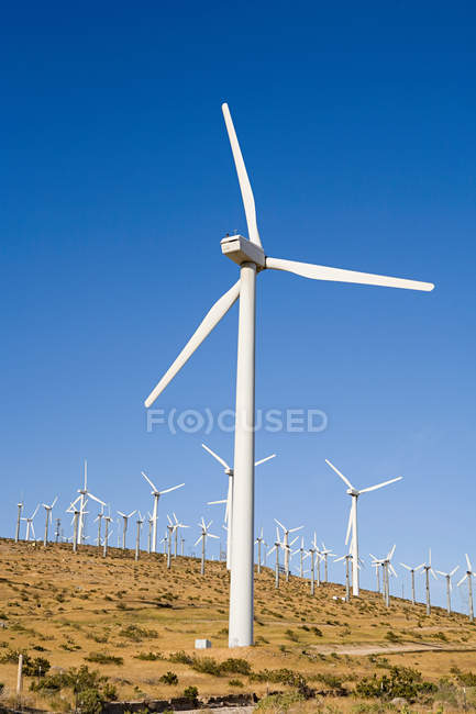 Вітер ферми з вітряками проти синього неба, колодязі Індійська, Каліфорнія, США — стокове фото