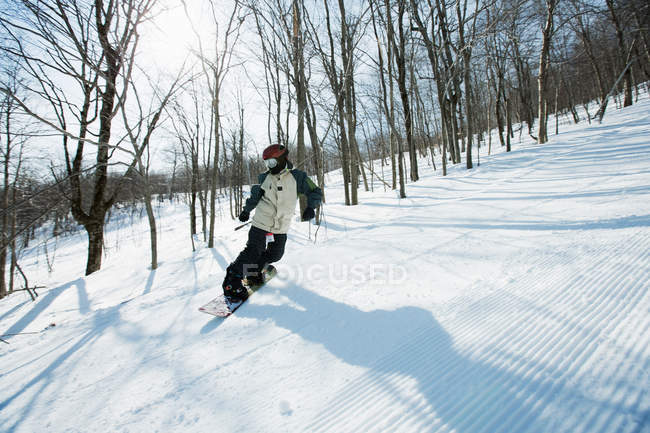 Жінка катається на сноуборді в захопленому лісі — стокове фото