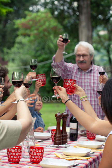 Homme âgé portant un toast au repas de famille — Photo de stock