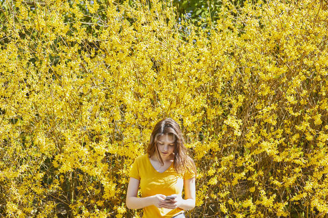 Teenagermädchen steht vor großen gelben Forsythien und checkt ihr Handy. — Stockfoto