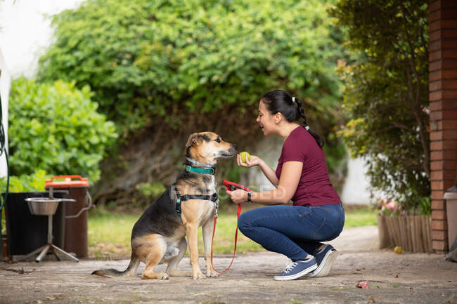 Femme agenouillée à côté d'un chien dans un jardin tenant une balle et une laisse de chien. — Photo de stock