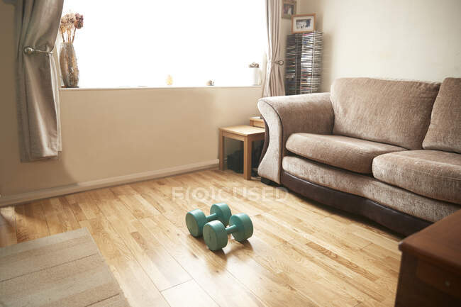 Vista interior de la sala de estar con mancuernas de color turquesa tumbado en el suelo de madera frente a un sofá marrón. - foto de stock