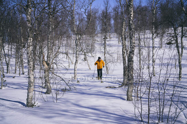 Homem esqui cross-country em Vasterbottens Lan, Suécia. - - — Fotografia de Stock