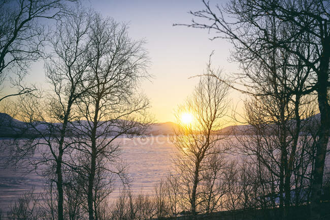 Blick an Bäumen vorbei über den zugefrorenen See bei Sonnenuntergang, Vasterbottens Lan, Schweden. — Stockfoto