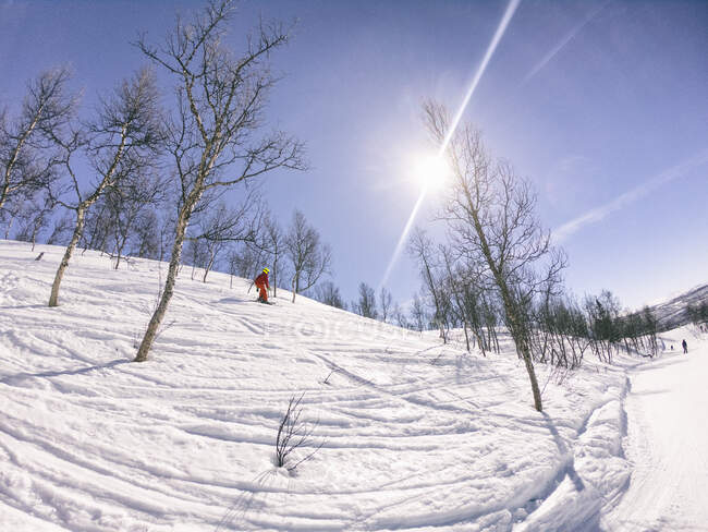 Vue grand angle des skieurs de fond à Vasterbottens Lan, Suède. — Photo de stock