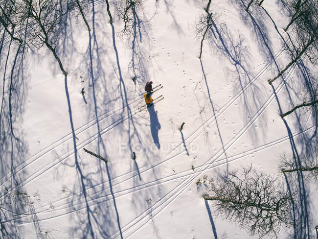 Високий кут огляду снігу вкритий ландшафтом і лижниками в Vasterbottens Lan, Швеція — стокове фото
