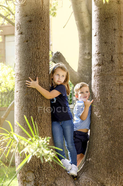 Retrato de menino e menina em pé em uma árvore. — Fotografia de Stock