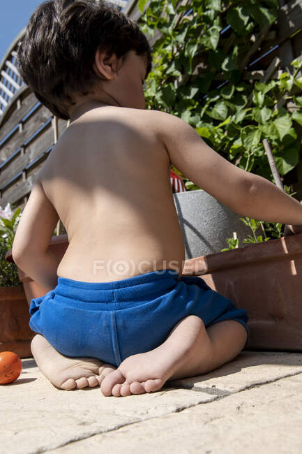 Rear view of young boy kneeling in a garden in summer. — Stock Photo