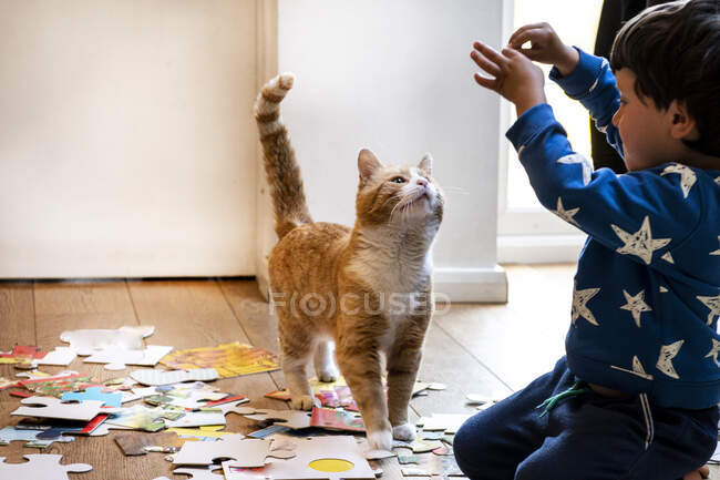 Kleines Kind spielt drinnen mit Ingwer-Tabby-Katze. — Stockfoto