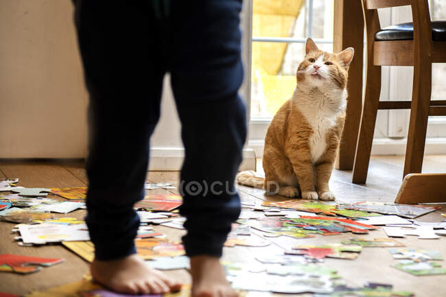 Kleines Kind spielt drinnen mit Ingwer-Tabby-Katze. — Stockfoto