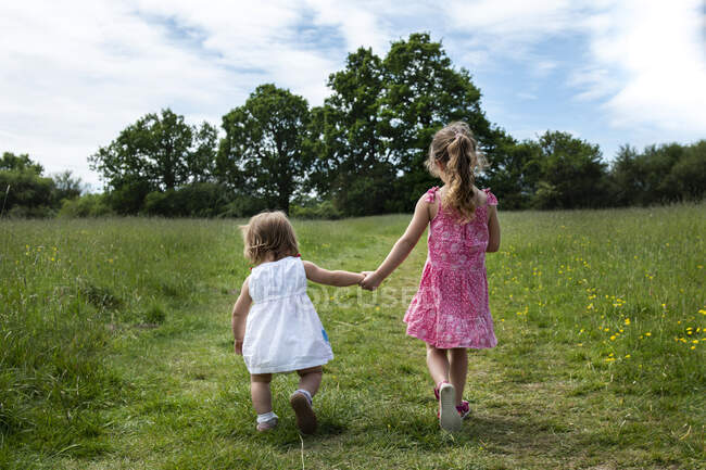 Vue arrière de deux jeunes filles marchant main dans la main à travers une prairie. — Photo de stock
