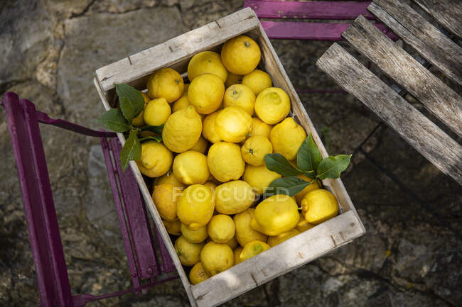 High angle close up wooden crate with freshly picked lemons. — Stock Photo