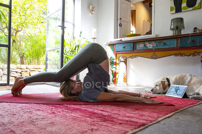 Woman practicing yoga indoors on red carpet. — Stock Photo