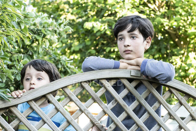 Retrato de dos chicos de cabello castaño mirando por encima de la cerca del jardín. - foto de stock