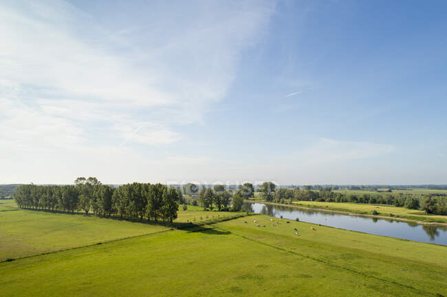 Paesaggio con terre alluvionali vicino al fiume Ijssel, Paesi Bassi. — Foto stock