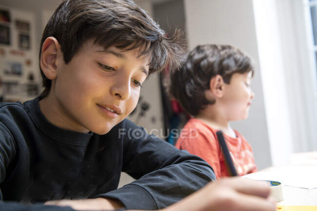 Dos chicos con el pelo castaño sentados en la mesa, haciendo la tarea. - foto de stock