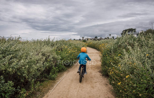 Вид сзади на мальчика, катающегося на велосипеде по дорожке с подсолнухом Буша, Энцелия cccca, растущей с обеих сторон, недалеко от Санта-Барбары, Калифорния, США. — стоковое фото