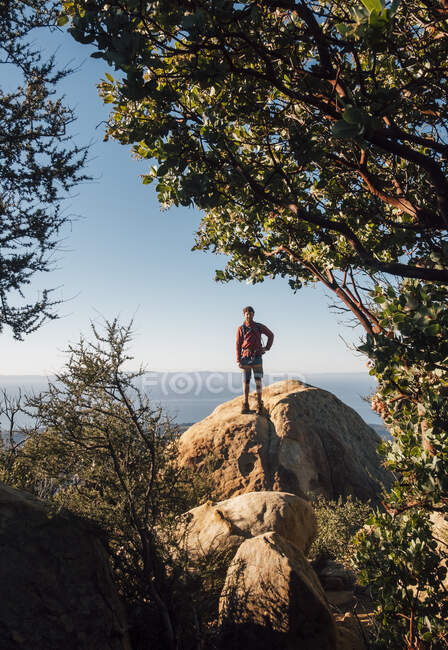 Male hiker standing on a rocky ledge underneath large tree, looking at camera. — Stock Photo