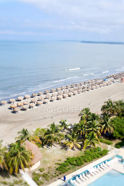 Luftaufnahme von Sonnenschirmen am Strand — Stockfoto