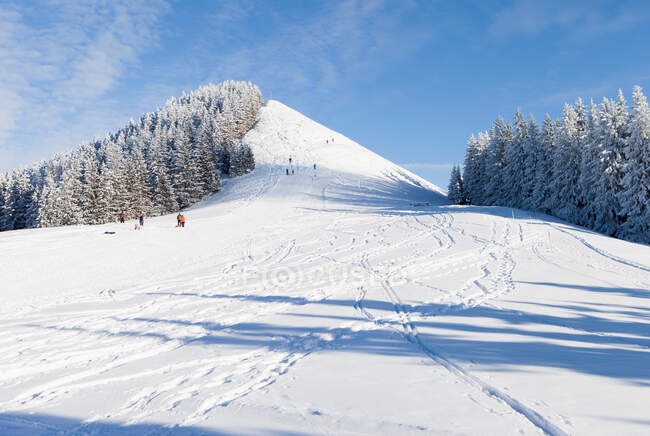 Лыжные трассы на снежном склоне — стоковое фото