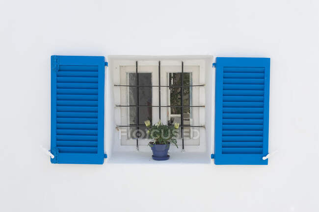 Colorful shutters and flowers in window — Stock Photo