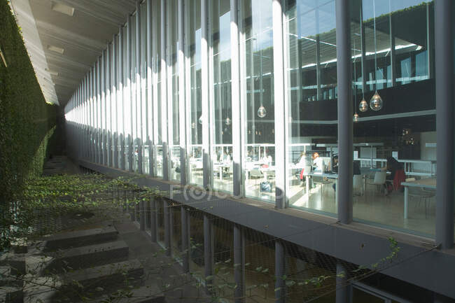 Виноград над внутренним двором современного здания — стоковое фото