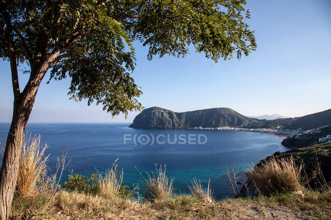 Árvore com vista para aldeia e porto — Fotografia de Stock