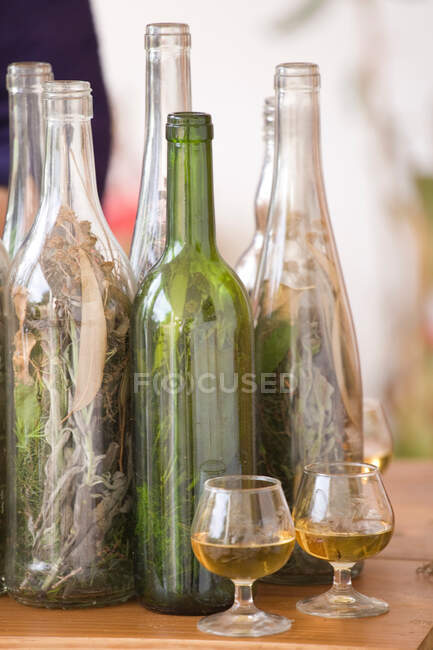 Традиційний напій Ієрбас Ібікенкас, Івіца — стокове фото