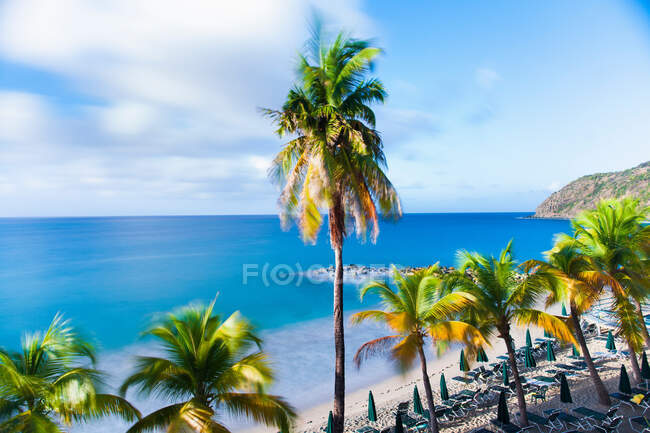 Пальми і сонячні віконниці на порожньому пляжі, голландська сторона Сент-Мартіна на Карибах. — стокове фото