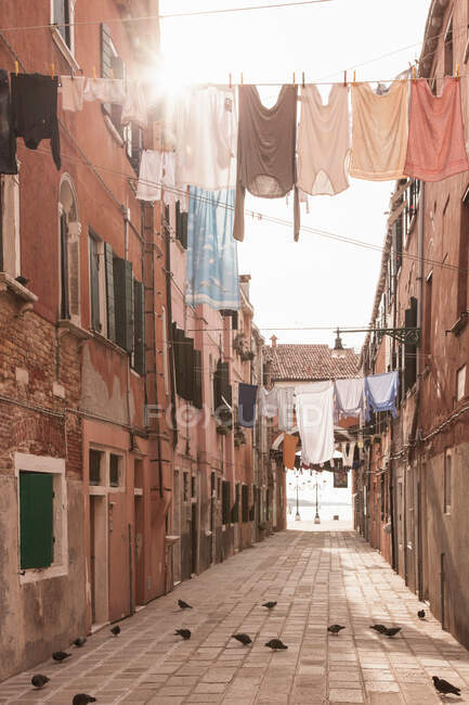 Strada con linee di lavanderia, Venezia, Italia — Foto stock