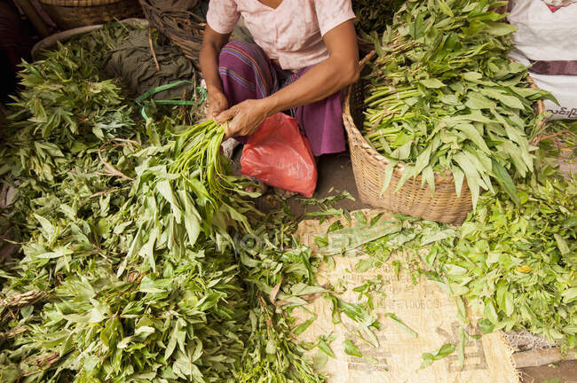 Mulher classificando legumes no mercado local, Bagan, Myanmar — Fotografia de Stock