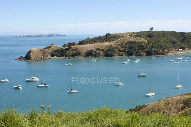 Porto e barche Waiheke Island, Auckland, Nuova Zelanda — Foto stock