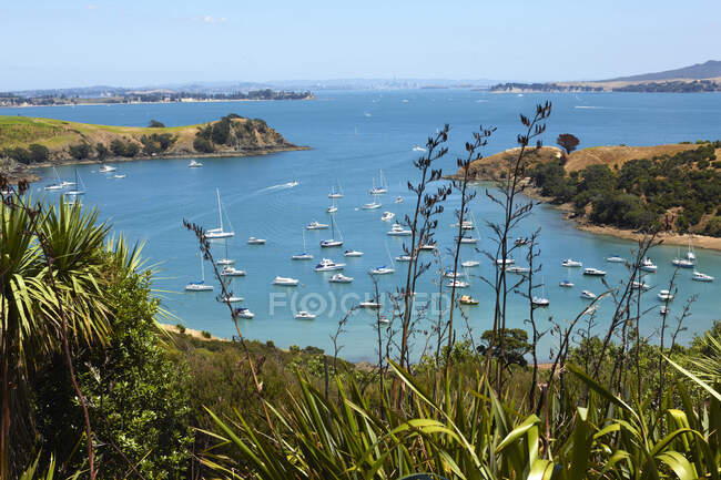 Baía costeira Waiheke Island, Auckland, Nova Zelândia — Fotografia de Stock