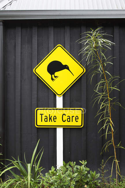 Kiwi bird sign, Auckland, Nueva Zelanda - foto de stock
