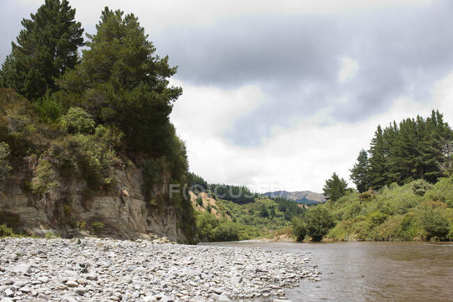 Escena tranquila del río, Auckland, Nueva Zelanda - foto de stock