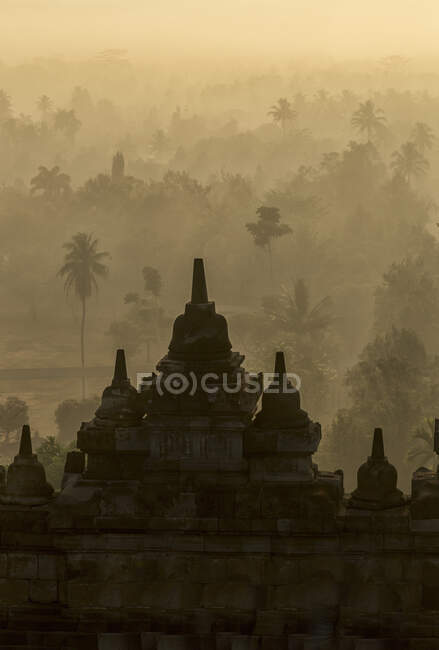 Azotea y bosque, El templo budista de Borobudur, Java, Indonesia - foto de stock