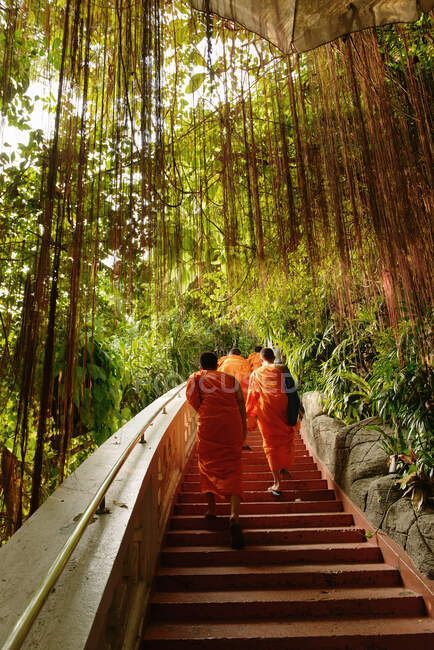 Monjes budistas en la escalera, Wat Saket, Monte Dorado, Bangkok, Tailandia - foto de stock