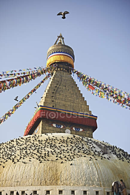 Голуби на купольной крыше Будханатха, Катманду, Непал — стоковое фото