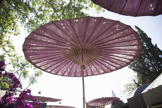 Paraguas, El Palacio de Bhubing, Chiang Mai, Tailandia - foto de stock