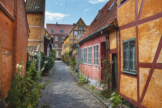 Case storiche su strada acciottolata in Helsingor, Zelanda, Danimarca — Foto stock
